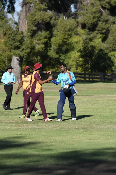 DSC_2355 (Large).JPG